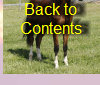 black_river_orlovs_2013004006.jpg