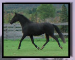 black_river_orlovs_2013004008.jpg