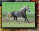 black_river_orlovs_2013024007.jpg