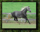 black_river_orlovs_2013028005.jpg